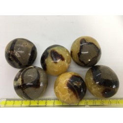 Septaria galets ronds 2