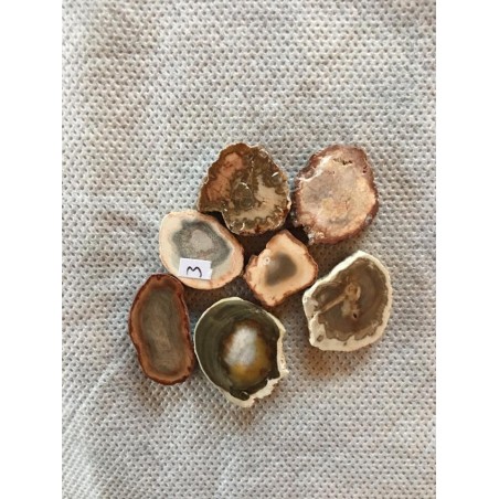 Bois fossile palet plat