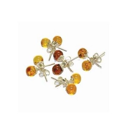 Puces oreilles Ambre