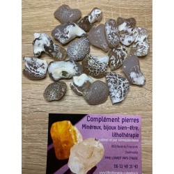 AGATE PEAU DE SERPENT psoriasis rides acné eczéma