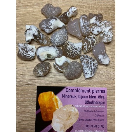 AGATE PEAU DE SERPENT psoriasis rides acné eczéma AGATE PEAU DE SERPENT psoriasis rides acné eczéma