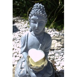 coeur selenite