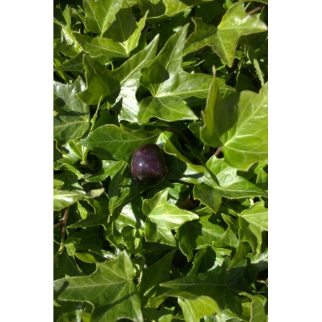 Grenat almandin pierre roulée Grenat almandin pierre roulée