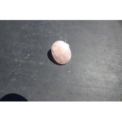 Quartz rose palet
