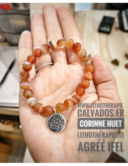 Race et lotus cornaline