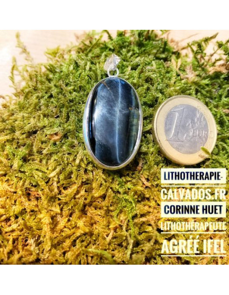 Pendentif Oeil de faucon plaqué argent