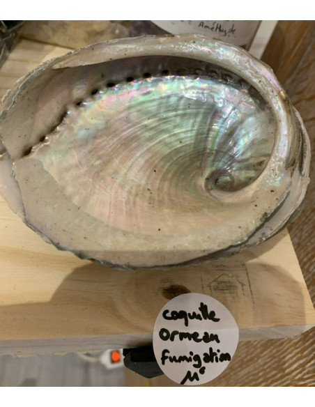 Coquille ormeau purification