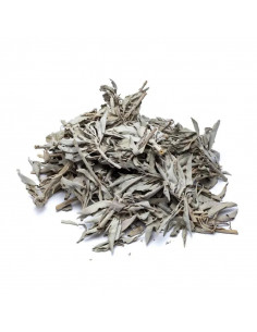 sauge blanche en feuilles, purification pierres
