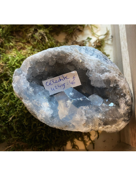 Amas Célestite brute demi oeuf