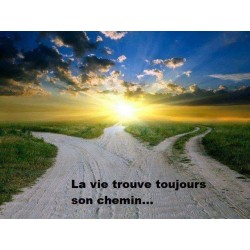 Etude de chemin de vie