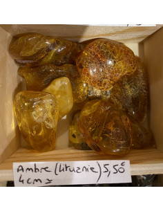 ambre pierre roulée 2