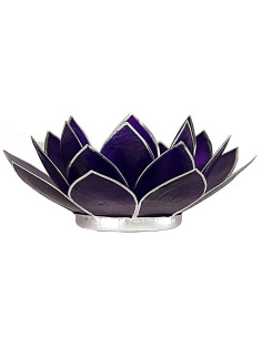 Eclairage ambiance lotus dégradé 2
